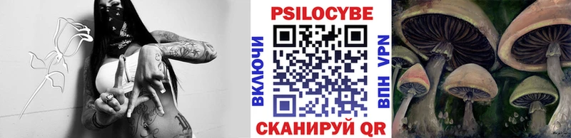 Псилоцибиновые грибы мицелий  Вышний Волочёк 